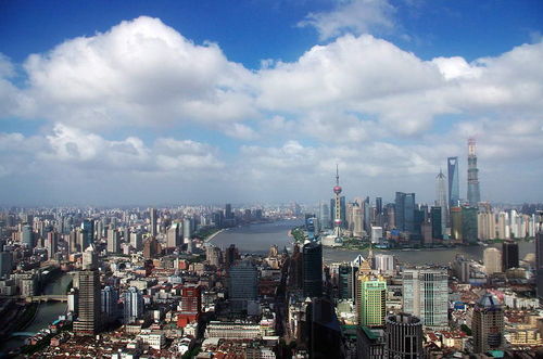 上?！毒W(wǎng)絡(luò)文化經(jīng)營許可證》辦理全流程指南