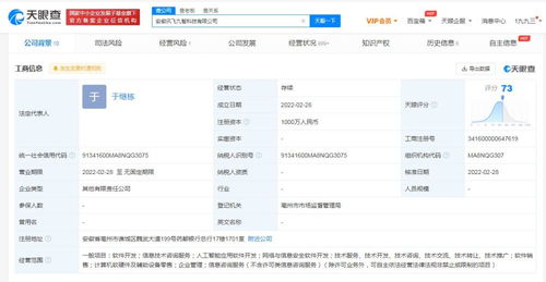 信息技術(shù)咨詢(xún)服務(wù) 企業(yè)數(shù)字化轉(zhuǎn)型的智慧引擎